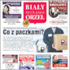[thumbnail of BialyOrzel_FLORIDA_2023-06.pdf]