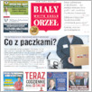[thumbnail of BialyOrzel_NEW-YORK_2023-06.pdf]