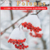 [thumbnail of Polonus _2023_01.pdf]