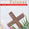 [thumbnail of Polonus _Rumunia_2023_03.pdf]