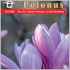 [thumbnail of Polonus _Rumunia_2023_04.pdf]