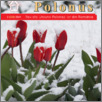[thumbnail of Polonus_Rumunia_2024_02.pdf]