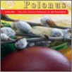 [thumbnail of Polonus_Rumunia_2024_03.pdf]