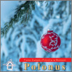 [thumbnail of Polonus_Rumunia_2024_12.pdf]