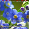 [thumbnail of Dwukropek_2025_265.pdf]