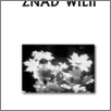 [thumbnail of Znad_Wilii_2004_3.pdf]