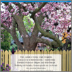 [thumbnail of Flandria_po_polsku_2025_03.pdf]
