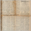 [thumbnail of Lud_1959_46.pdf]