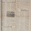 [thumbnail of Lud_1959_32.pdf]