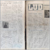 [thumbnail of Lud_1965_49.pdf]