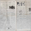 [thumbnail of Lud_1966_23.pdf]
