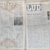 [thumbnail of Lud_1966_20.pdf]
