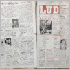[thumbnail of Lud_1967_51.pdf]