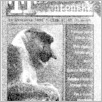[thumbnail of Tygodnik_1996_33.pdf]