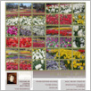 [thumbnail of kronikapolonii_2014_12.pdf]