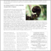 [thumbnail of Gazeta-Polonia-2015-10.pdf]