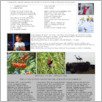 [thumbnail of Gazeta-Polonia-2016-03.pdf]