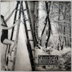 [thumbnail of Parada_1946_24.pdf]