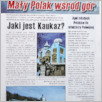 [thumbnail of Maly_Polak_2007_01.pdf]